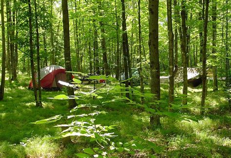 nicolet national forest camping